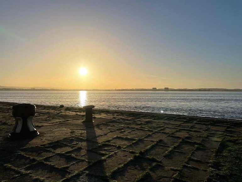 Passiframe Ltd tweet media