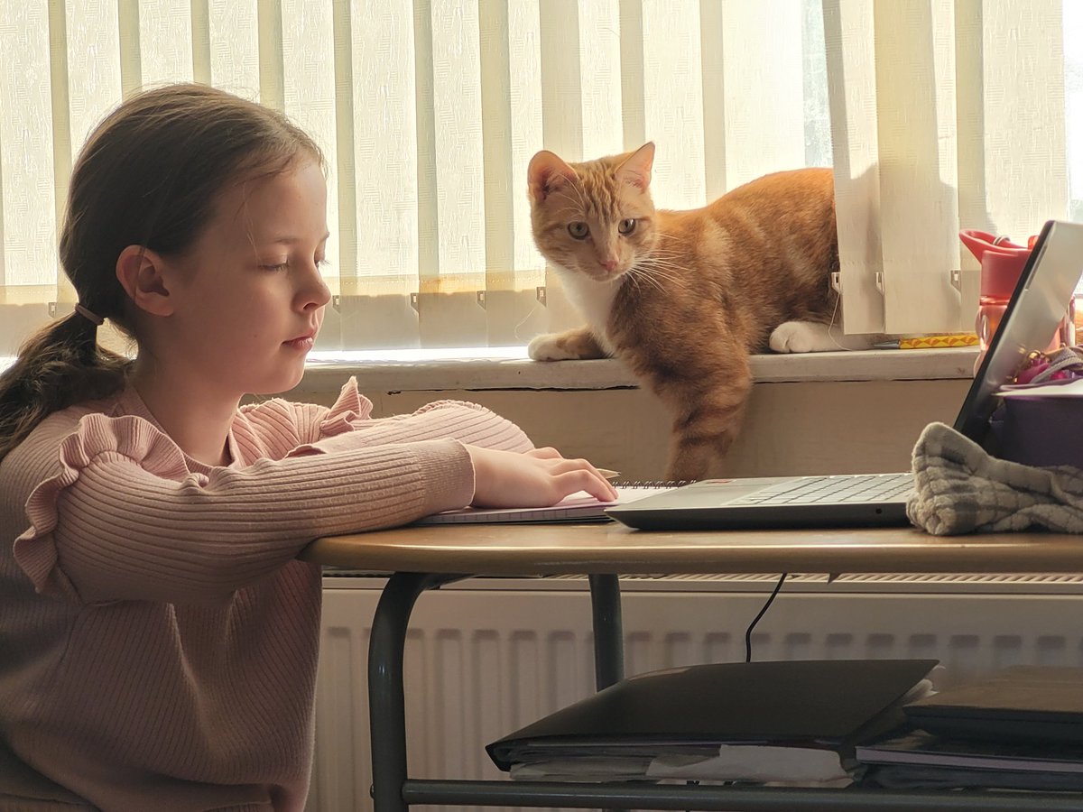 VikkiG1985's tweet photo. @CGPrimarySchool Alexis has an assistant today for her home learning, Dobby is very interested in the English lesson https://t.co/xBHFfsjVFo
