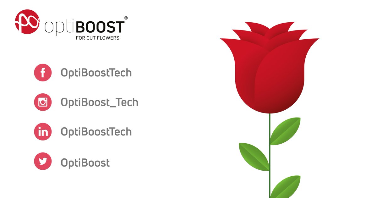 OptiCept's tweet image. Do you find new technology in the flower industry exciting? Of course, you do! 
Follow @OptiBoost  here on Twitter and other platforms to get the latest updates in your feed!🌹

#optiboost #cutflowers #planttech #gamechanger