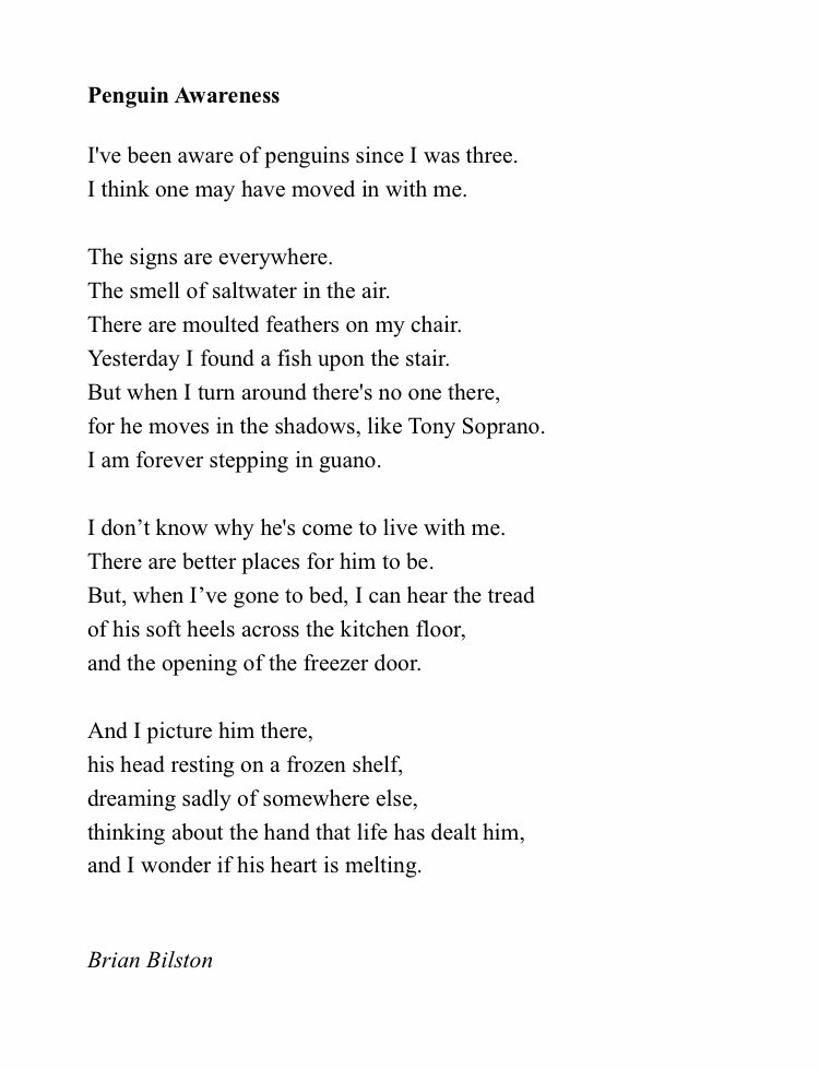 I think there may be a penguin living in my house. Here’s a poem about it for #PenguinAwarenessDay.