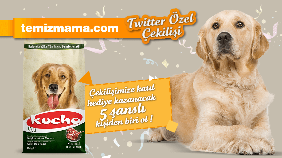 Temizmama'dan Kucho Köpek Maması Çekilişi!
5 takipçimize Kucho Kuzu Etli Köpek Maması hediye ediyoruz. 🎁🎉

Yapman gerekenler çok basit:
✅Hesabımızı takip et👍🏻
✅Tweeti RT'le 🔁
✅Tweetin altında 1 arkadaşını etiketle 💬

Kazanan takipçilerimiz 28 Ocak Cuma günü açıklanacak 😉