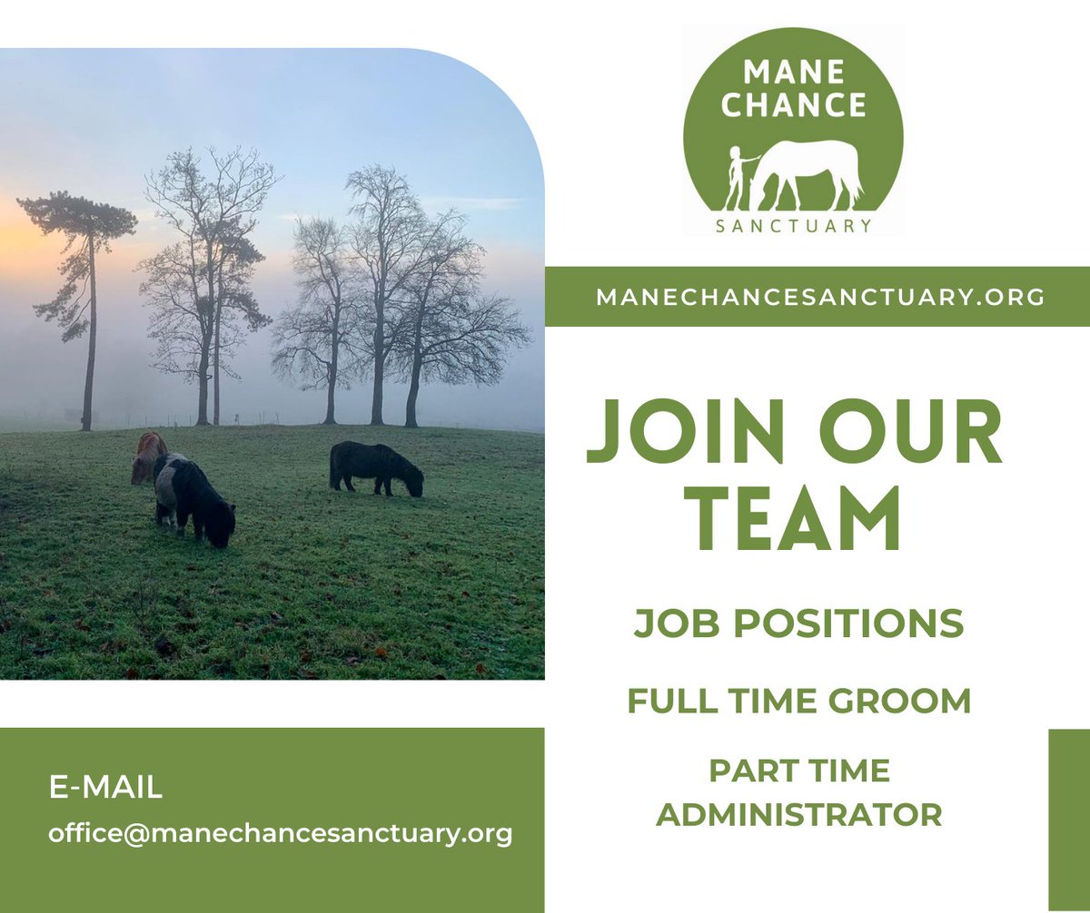 manechance's tweet photo. Would you like to join our lovely team at Mane Chance Sanctuary?
We are currently looking for a full time groom and a part time administrator.
For full details, job descriptions, and how to apply, please visit our website.
https://t.co/owHCxJ9Juz #workwithhorses #surreyjobs https://t.co/uHrLsylt2y