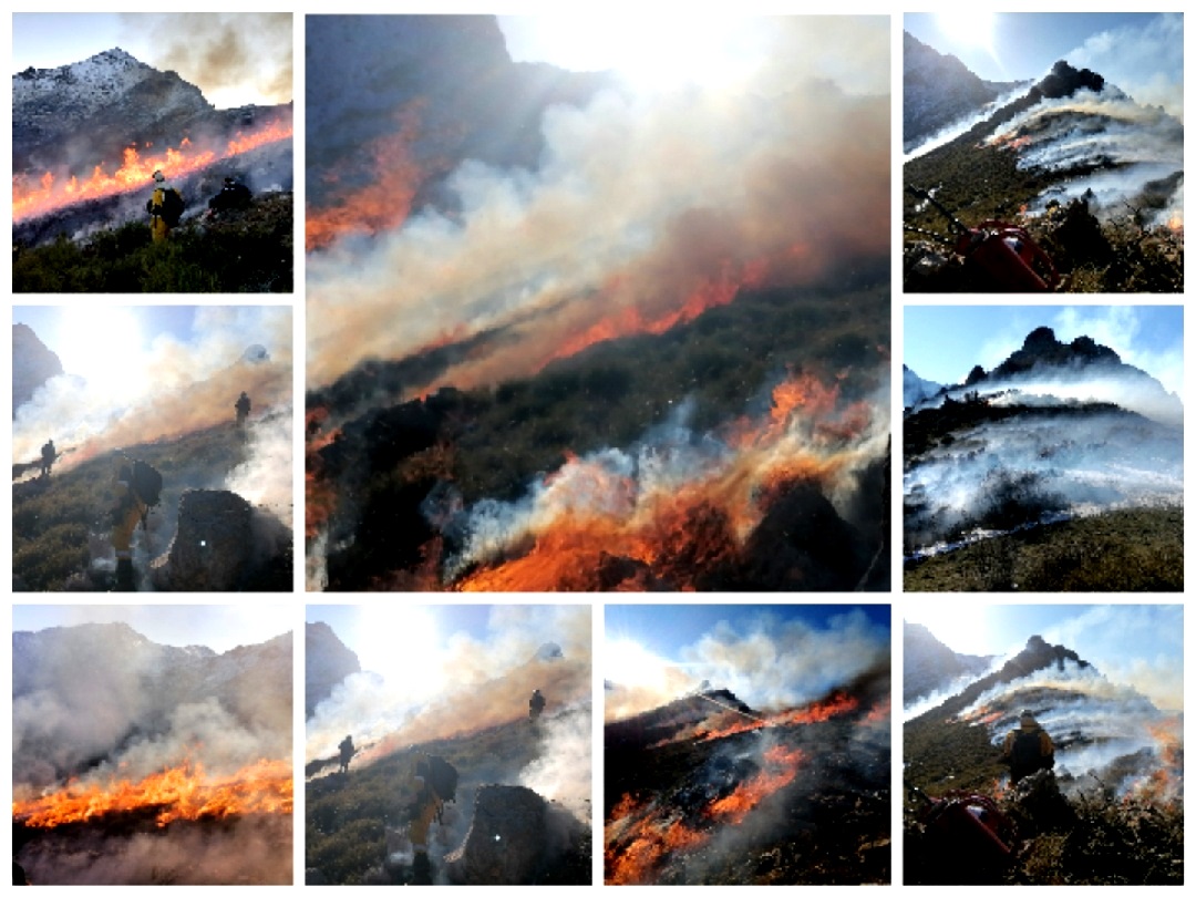 sis_2b's tweet image. Dynamique interservices @Sis_2b @IsulaCorsica #Forsap @UnivCorse @UIISC5CORTE #bilan #DFCI et #scientifique (projet Goliat) 2021 de 10 feux et 156 Ha, reprise 2022 #brûlagedirigé #dfci avec 5 chantiers sur secteurs Ghisoni, Noceta, San Parteo, Restonica totalisant 22,5 Ha