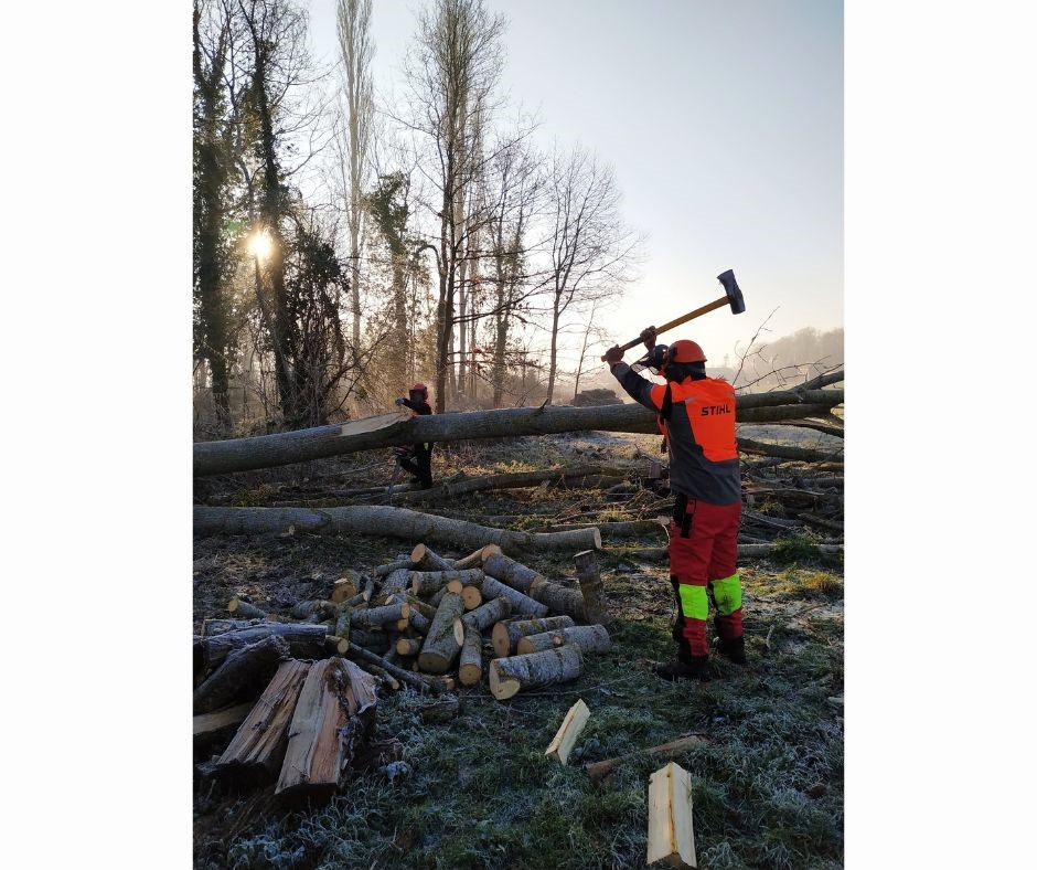 LeCHEP78's tweet photo. ⚠Attention, chute d'arbre ! 🌳Les bac Pro Terminale forêt ont abattu un peuplier malade du campus. Une situation de terrain pour nos élèves. ⚠️
Pour en savoir plus : https://t.co/BkCgvUoW9v
#chep78 #environnement #amenagementpaysager #ecoledusavoirvert #gmnf #horticulture #forêt https://t.co/ffyVjD2Y46