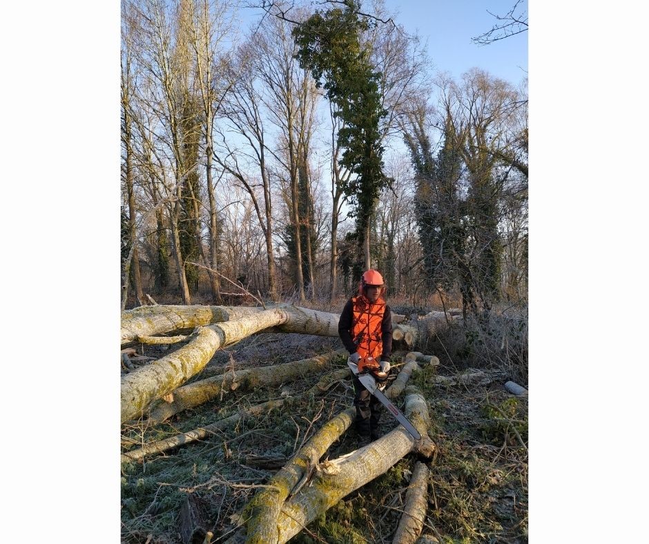 LeCHEP78's tweet photo. ⚠Attention, chute d'arbre ! 🌳Les bac Pro Terminale forêt ont abattu un peuplier malade du campus. Une situation de terrain pour nos élèves. ⚠️
Pour en savoir plus : https://t.co/BkCgvUoW9v
#chep78 #environnement #amenagementpaysager #ecoledusavoirvert #gmnf #horticulture #forêt https://t.co/ffyVjD2Y46