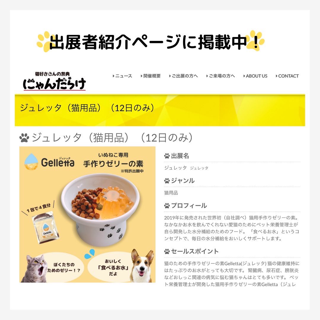 ジュレッタ 犬猫のための 食べるお水 おいしく水分補給ができる手作りゼリーの素 Wishamllc Twitter