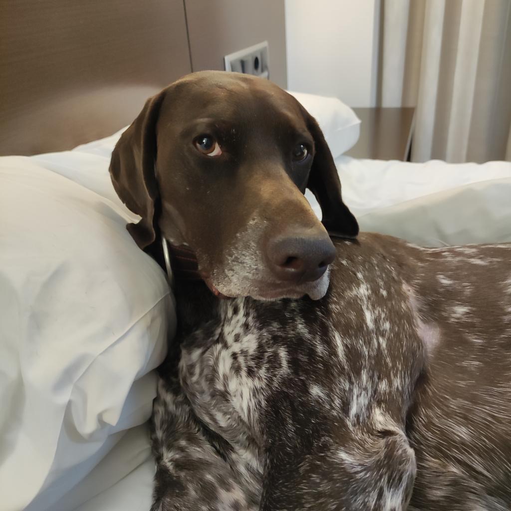 Jabali Narvaez tweet media