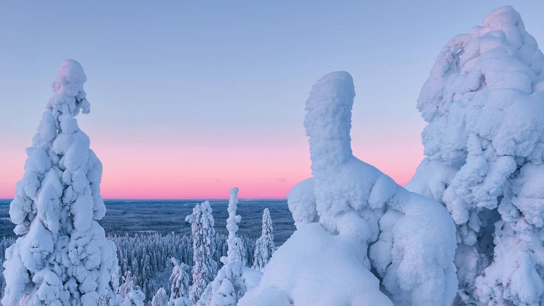 DiscoverFinland's tweet photo. Winter is a time of Snow Giants in Finland, as can be seen in these photos shared on IG by the valimaki_anna, lapland_pictures, and just_aapi accounts, now added to our Finnish Winter Gallery: https://t.co/LO9Ft5OcHm https://t.co/K68CY6GOBc