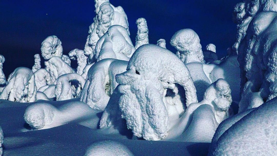 DiscoverFinland's tweet photo. Winter is a time of Snow Giants in Finland, as can be seen in these photos shared on IG by the valimaki_anna, lapland_pictures, and just_aapi accounts, now added to our Finnish Winter Gallery: https://t.co/LO9Ft5OcHm https://t.co/K68CY6GOBc