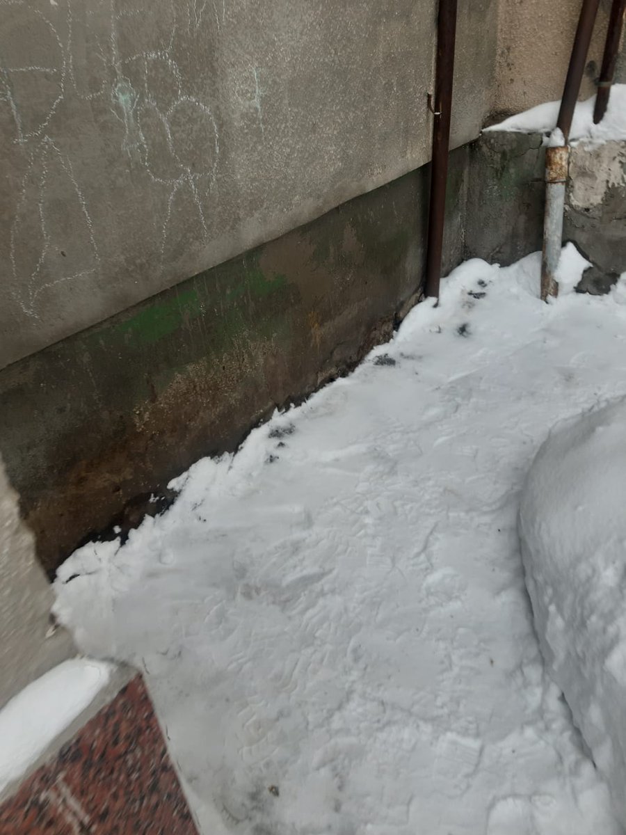 МП ЭСО tweet media