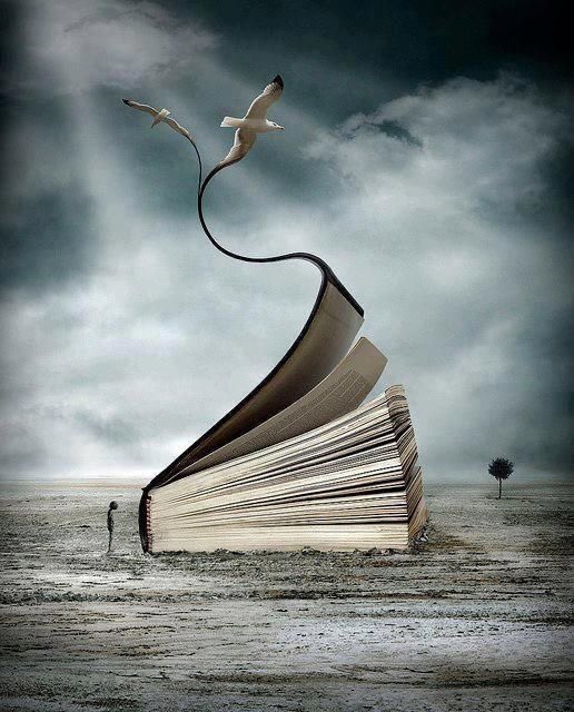 Karolin45610022's tweet photo. We are like book , each of us interprets the cover according to his ideas https://t.co/OUS2EullbZ