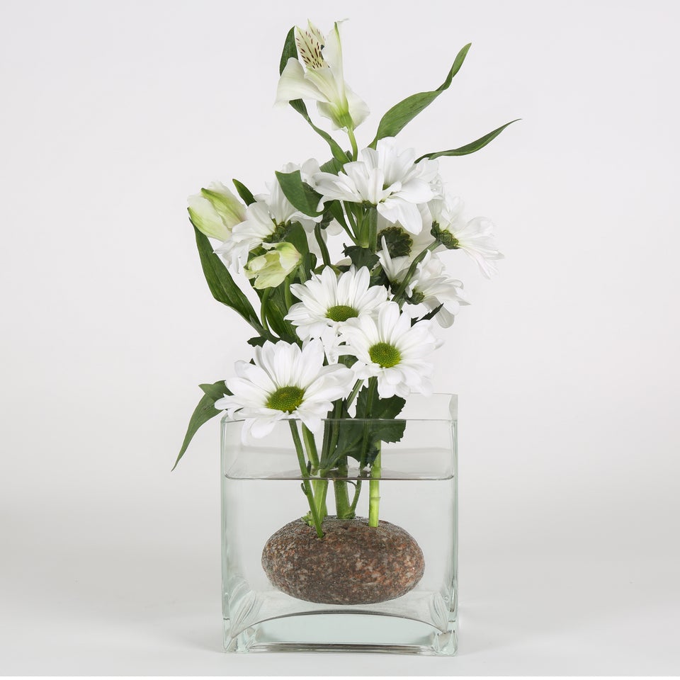 🦆 Haal nu al de natuur in huis : deze coole frogstone
Een vleugje lente zit niet onder een steen maar in dit uniek ontwerp om bloemen te schikken. 

Welkom, vandaag (dond) open : 12u tot 18u

#vaas #bloemen #droogbloemen #interieur #daarisdelente 
devreemdeeend.be