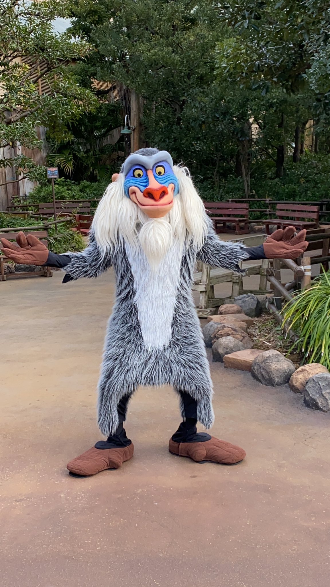 イヴ 2117 ラフィキー Tdr 東京ディズニーシー ラフィキ ライオンキング T Co Xlil2dkkb9 Twitter