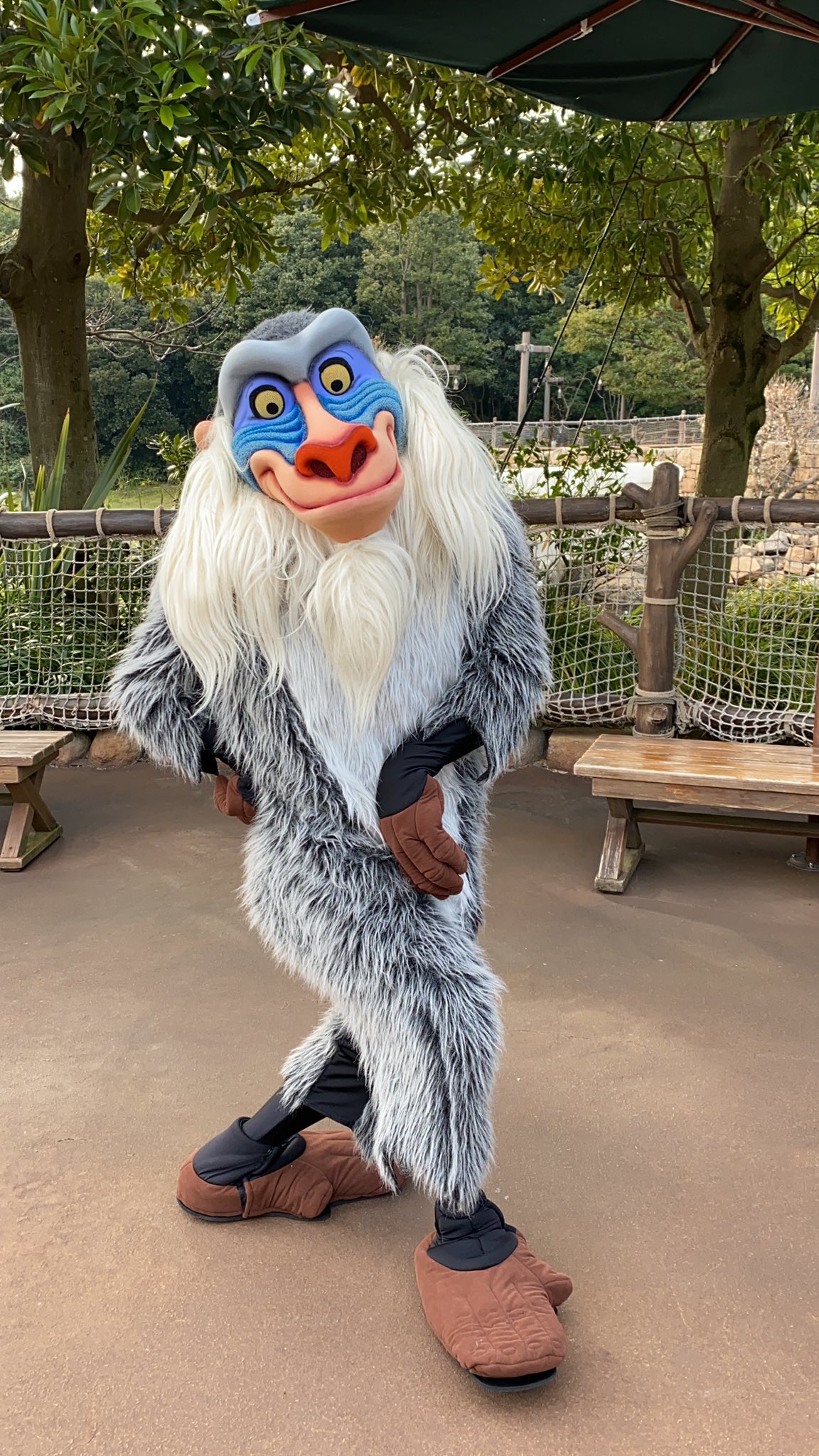 イヴ 2117 ラフィキー Tdr 東京ディズニーシー ラフィキ ライオンキング T Co Xlil2dkkb9 Twitter