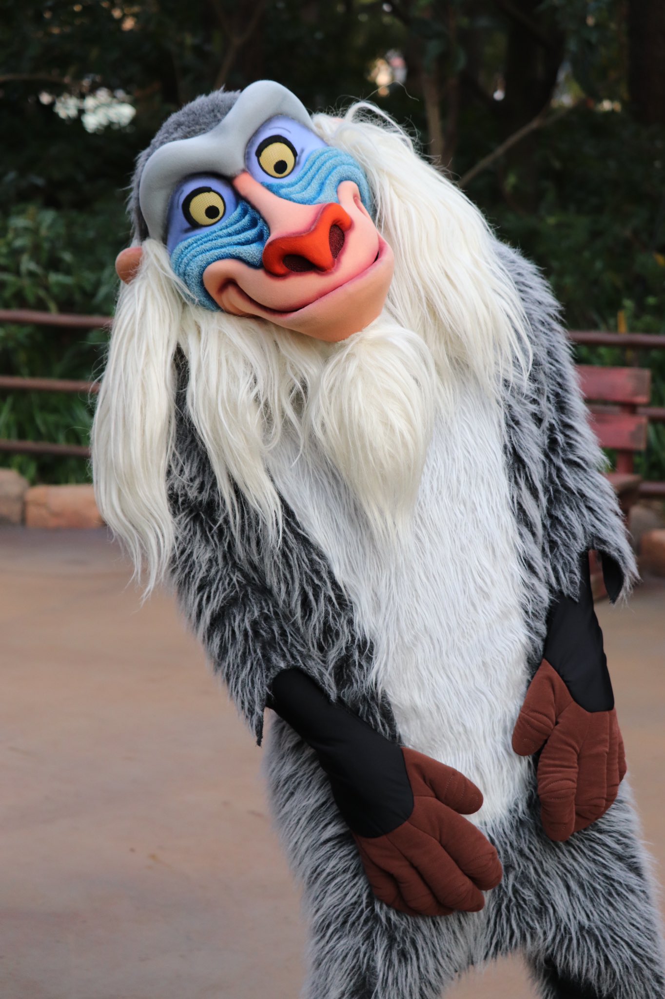 イヴ 2117 ラフィキー Tdr 東京ディズニーシー ラフィキ ライオンキング T Co Xlil2dkkb9 Twitter