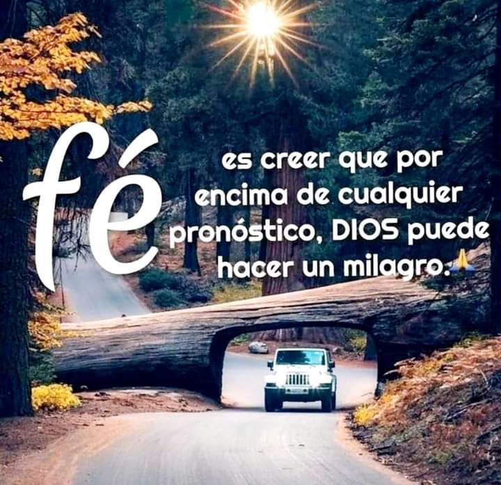ComandoNj's tweet photo. Buenos Días!!! https://t.co/pyR2o2HB0r