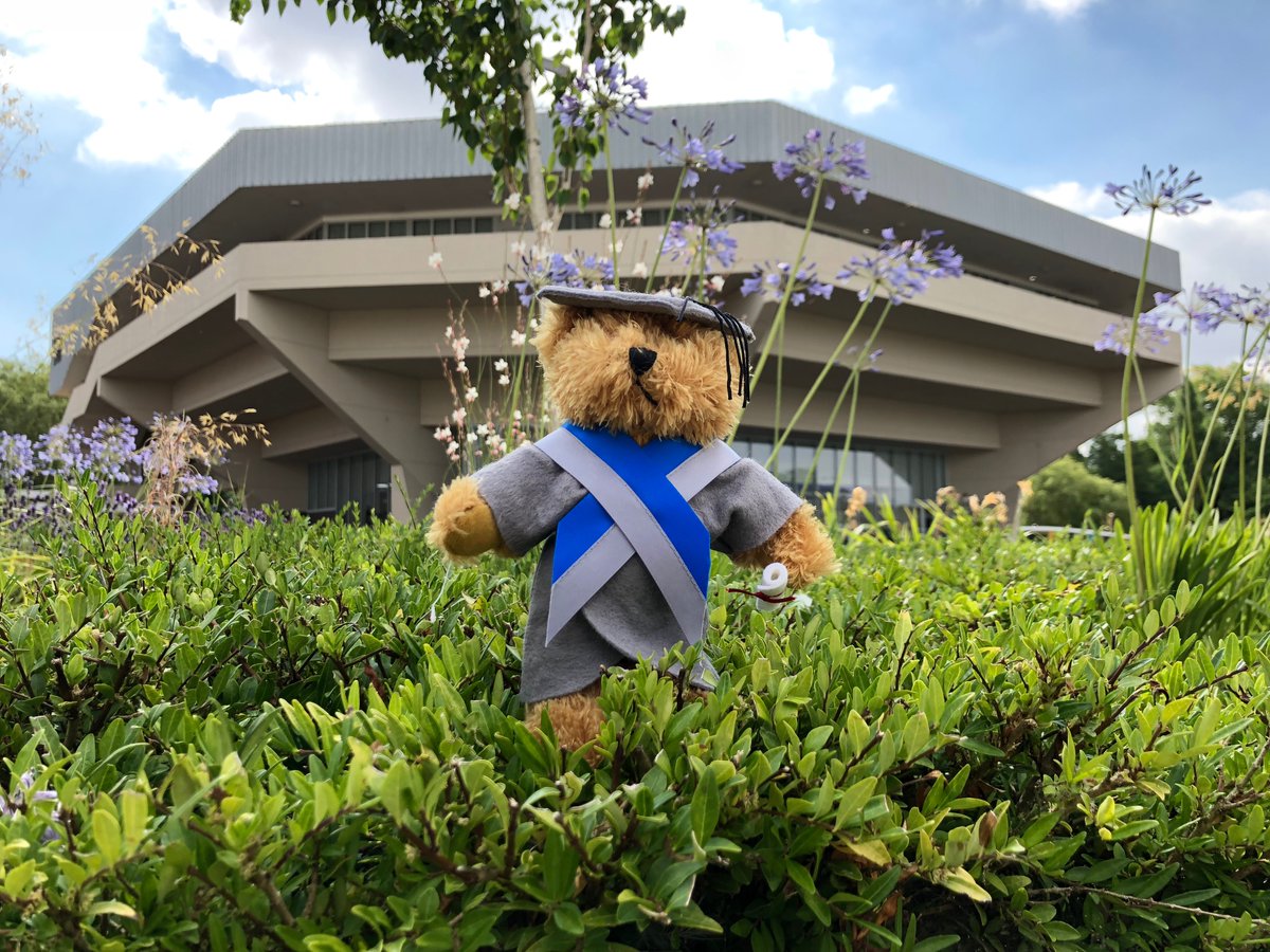 UoyEatShopDrink's tweet photo. Get your very own Graduation teddy! 

Shop a variety of gifts, merchandise and memorabilia at our stall in the Exhibition Centre or our shop in Market Square.

#UoYGraduation #UoYGrad #UniOfYork @UniOfYork https://t.co/pCYDB3uRM0