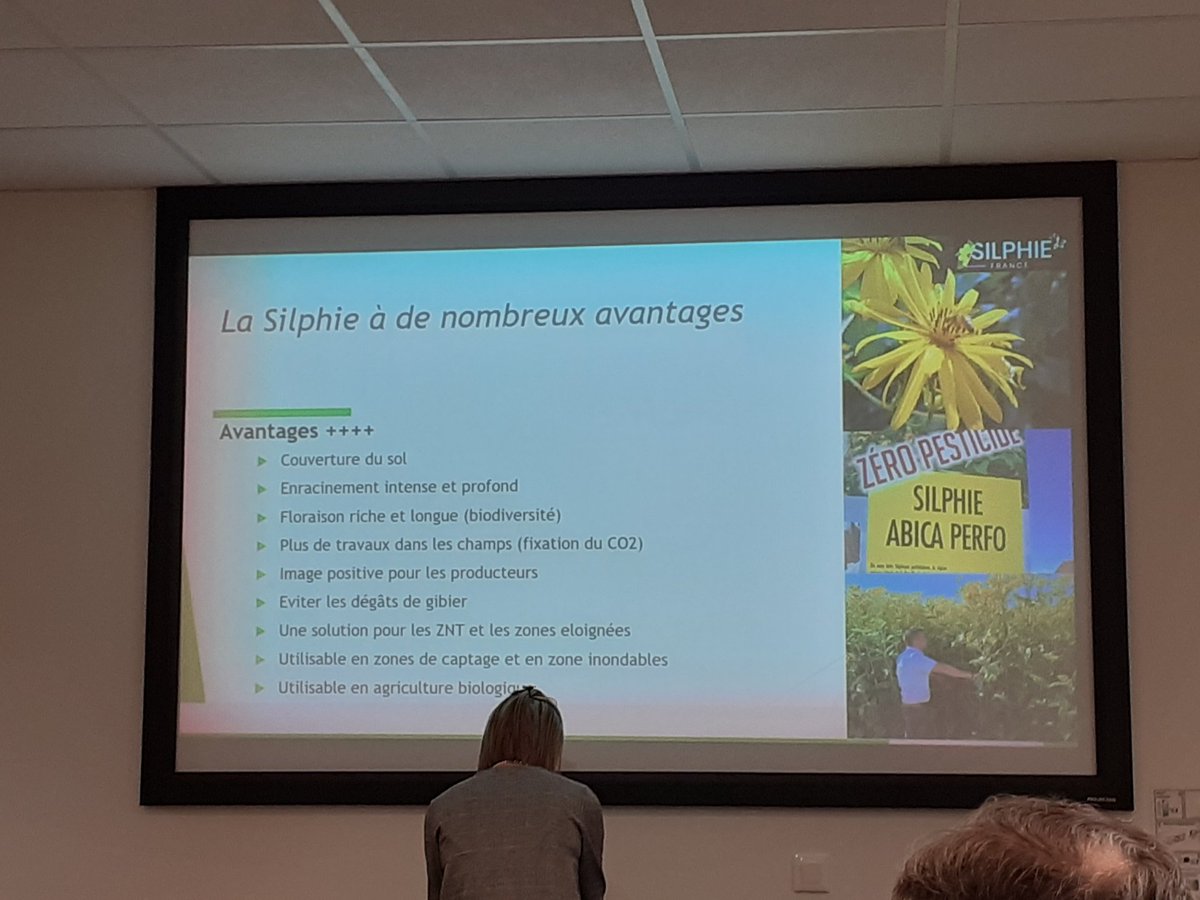 Agoracoop's tweet photo. Une vingtaine d'agriculteurs Agora découvrent la Silphie, une culture très melifère qui présente des intérêts pour les méthaniseurs, les agriculteurs, les éleveurs, les apiculteurs et nos concitoyens 🌼 De riches échanges avec Amedee Perrein, gérant Silphie France https://t.co/pCt5SfMFmA