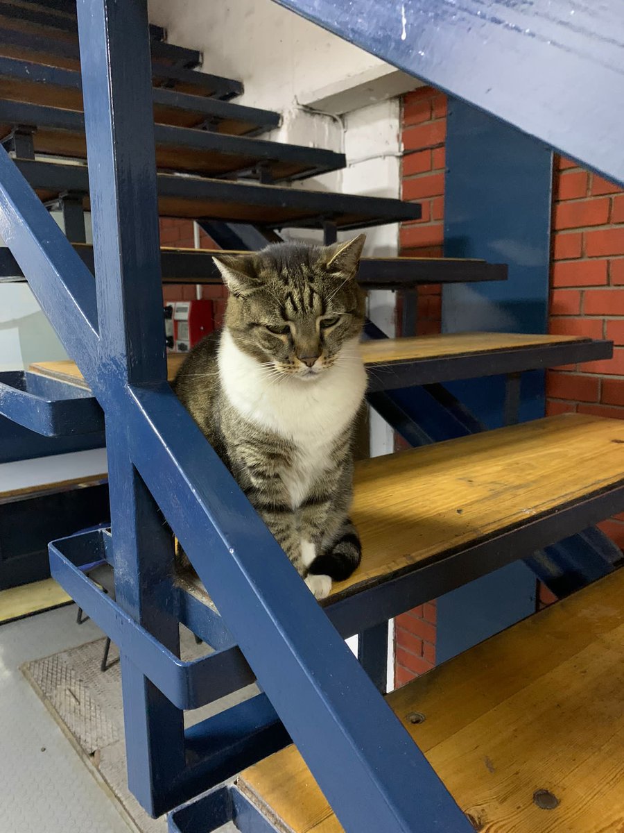 FJimQw5XsAIxK_f?format=jpg&name=medium