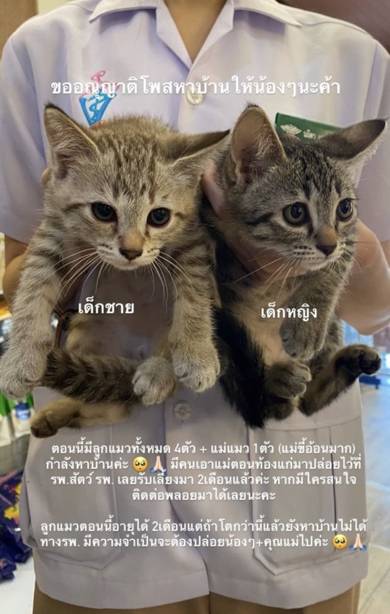 hpychu 👀👅 tweet media
