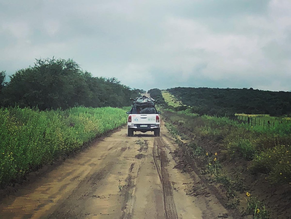 martinturnes's tweet photo. #DiariodeRodaje 
🎬 @ElHachaFilm 
💡Etapa 4: viaje relámpago a La Pampa
🔥 dir @romerodh asist @ale_rath prod @puentefilms @zebracine 

#cineargentino #cine #direcciondefotografia #dop  #irfilm #cineir #infrared #infrarojo #BMPocket4K #LeicaR https://t.co/ogoPYH5EYX