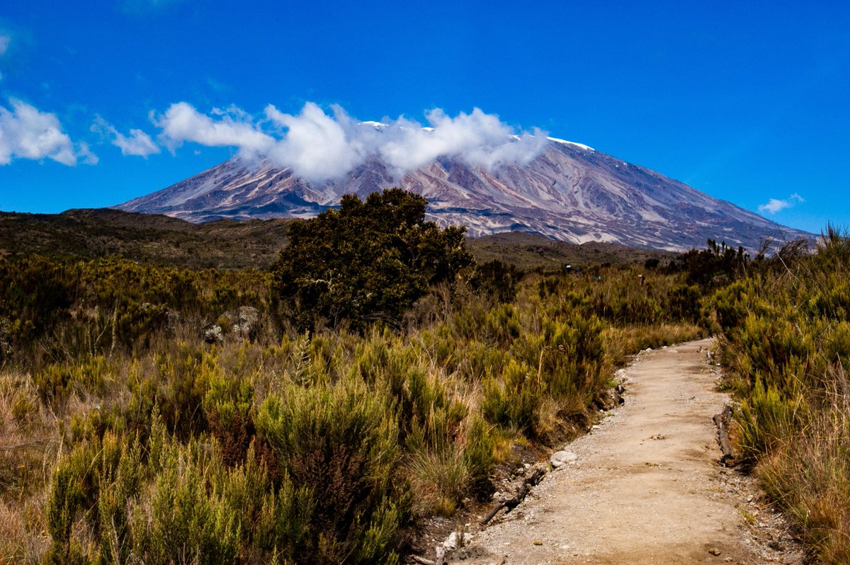 “Today is your day! Your mountain is waiting, so… get on your way!”
#mountaintanzania #kilimanjaromountaintanzania #mountainclimbing #kilimanjarotanzania  #climbkilimanjaro  #mountkilimanjaro  #climb #mountain  #tanzania