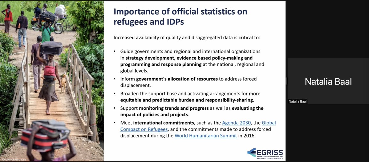 JIPS_profiling's tweet photo. Exciting webinar ongoing w/ #EGRISS @statafric @ecowas_cedeao on forced displacement statistics. Great to see such strong interest in improving #RefugeeStatistics & #IDPstatistics in the region. The intl. rec.s developed through EGRISS offer critical guidance, definitions & more. https://t.co/Vskt8tHIFC