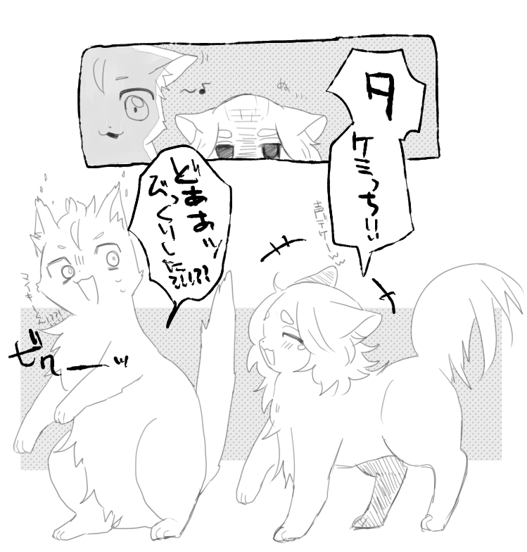 マイ武🐈 