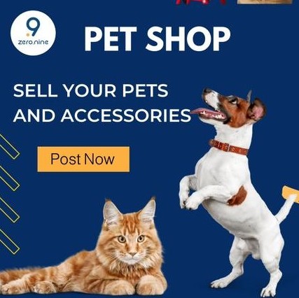 zer0point9's tweet photo. بيع واشتري جميع انواع الحيوانات الاليفة والاكسسوارات عل فاصلة تسعة

#pets #petsinksa #saudipets #petsaccessories #saudiarabiapets #sellpets #buypets https://t.co/AV6rSw4xeG