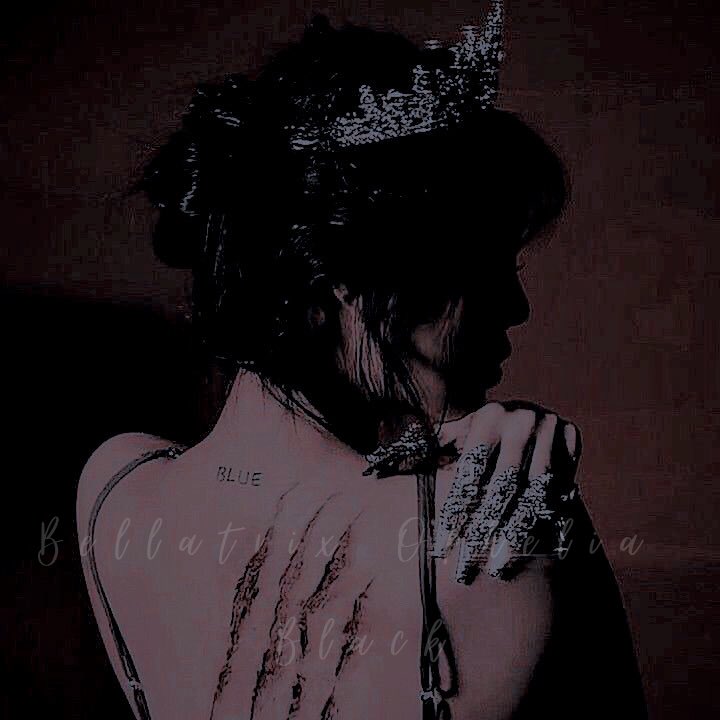 ㅤ

ㅤㅤㅤㅤㅤㅤ 𝗕𝗘𝗟𝗟𝗔𝗧𝗥𝗜𝗫  
ㅤㅤㅤㅤㅤ𝗢𝗣𝗛𝗘𝗟𝗜𝗔 𝗕𝗟𝗔𝗖𝗞

ㅤㅤ𝖬𝗒 𝗅𝗈𝗋𝖽, 𝖨 𝗐𝗂𝗌𝗁 𝗍𝗈 𝗏𝗈𝗅𝗎𝗇𝗍𝖾𝖾𝗋 𝖿𝗈𝗋 𝗍𝗁𝗂𝗌  𝗆𝗂𝗌𝗌𝗂𝗈𝗇. 𝖨 𝗐𝖺𝗇𝗍 𝗍𝗈 𝗄𝗂𝗅𝗅 𝗍𝗁𝖺𝗍 𝖻𝗈𝗒!

𝙲𝚁𝙾𝙽𝙾𝙻𝙾𝙶𝙸𝙰 ───── 𝚁𝙴𝚃𝚆𝙴𝙴𝚃