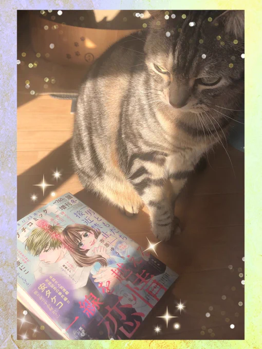 🐾お知らせ🐾
ただ今発売中のプチコミ増刊冬号に猫ショート漫画、にゃんDK掲載して頂いてます!クリニックで運命の出会いが…🐟🐟🐟よろしくお願いします☺️ 