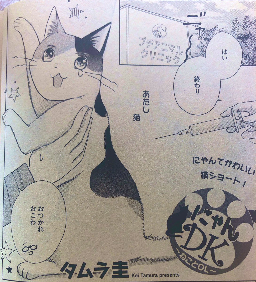 🐾お知らせ🐾
ただ今発売中のプチコミ増刊冬号に猫ショート漫画、にゃんDK掲載して頂いてます!クリニックで運命の出会いが…🐟🐟🐟よろしくお願いします☺️ 