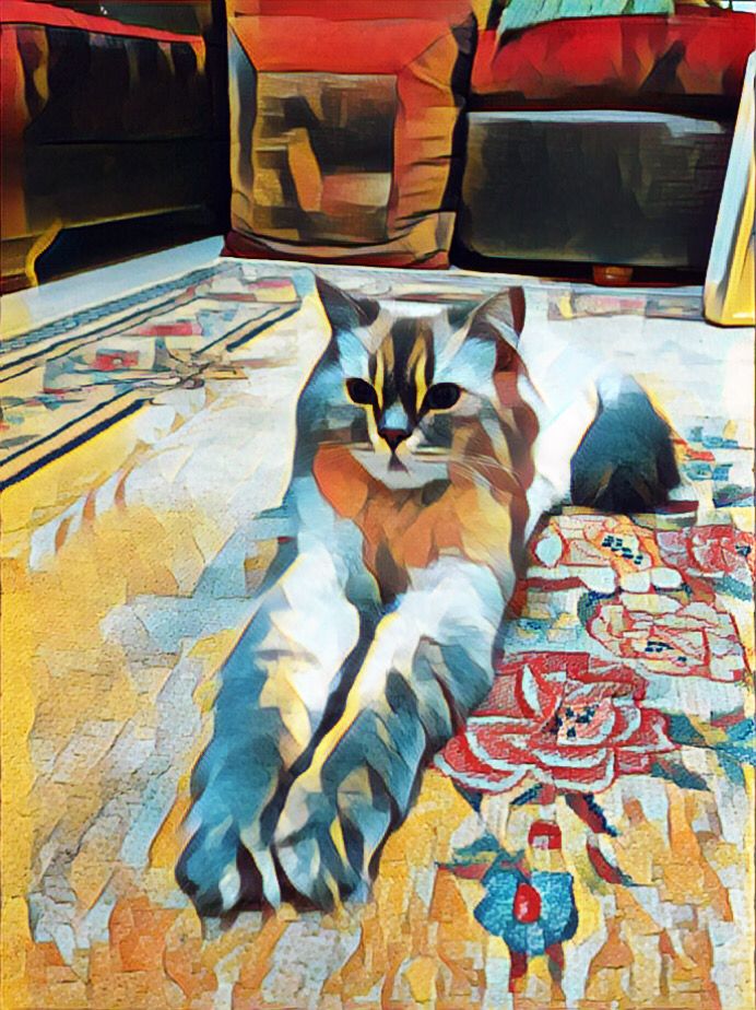 surreal_studios's tweet photo. The Cat Casper
#NFTCommunity #NFTCollection #NFT #NFTLaunch #cat #nftart #NFTcollectibles #nftdesignart #nftwork #token #NFTLOVER #viralpost #rarible #raribleNFT 
#artwork #NFTProject 
Press on this link : https://t.co/gT7Hr8zURY https://t.co/v37BnUpjSB