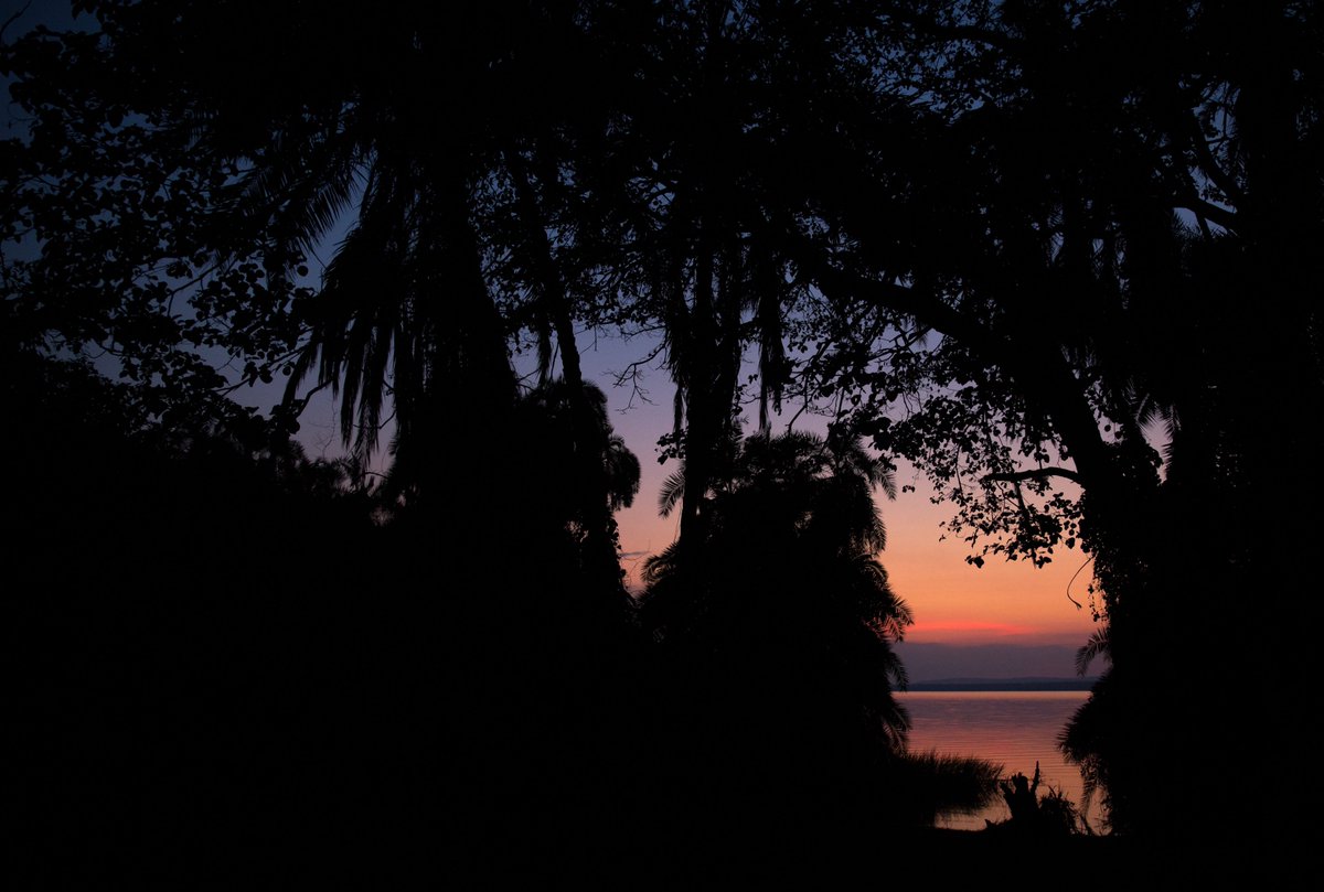 Sunrise at Ruzizi Tented Lodge. All nine tents at the Lodge have gorgeous views of Lake Ihema.

Planning your stay at Ruzizi in 2022? Contact the reservations team at ruzizi@africanparks.org

#RuziziTentedLodge #Akagera #Rwanda #AfricanParks #Travel #Sunrise