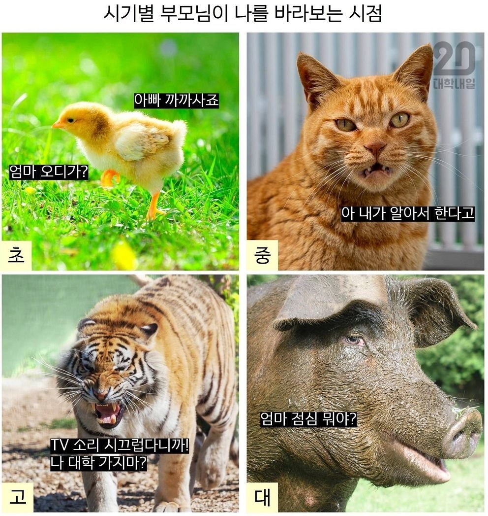 이거 겁나 웃김