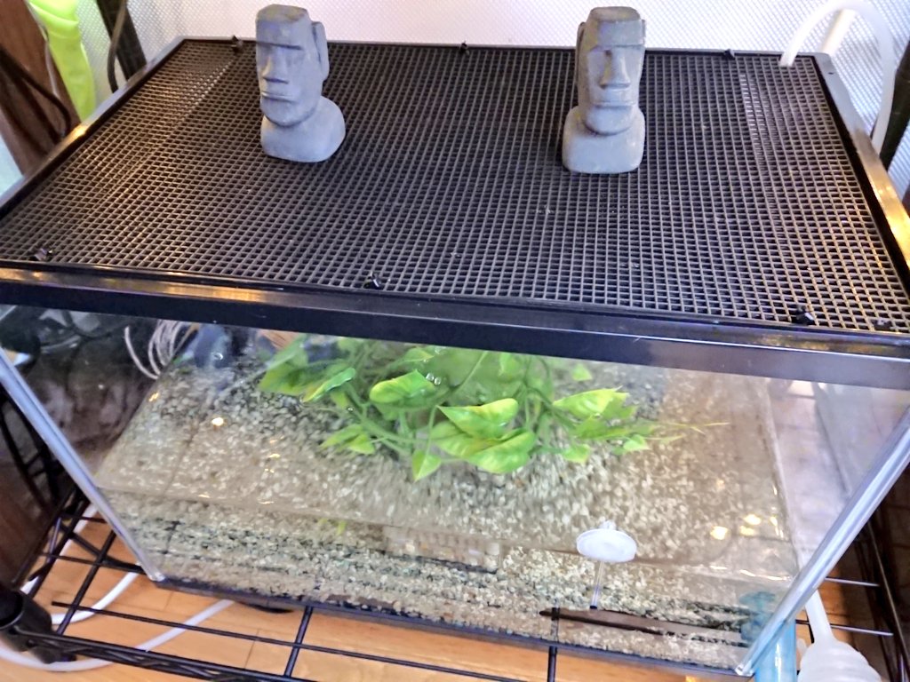 阿野運命 Yoshikazuano Twitter