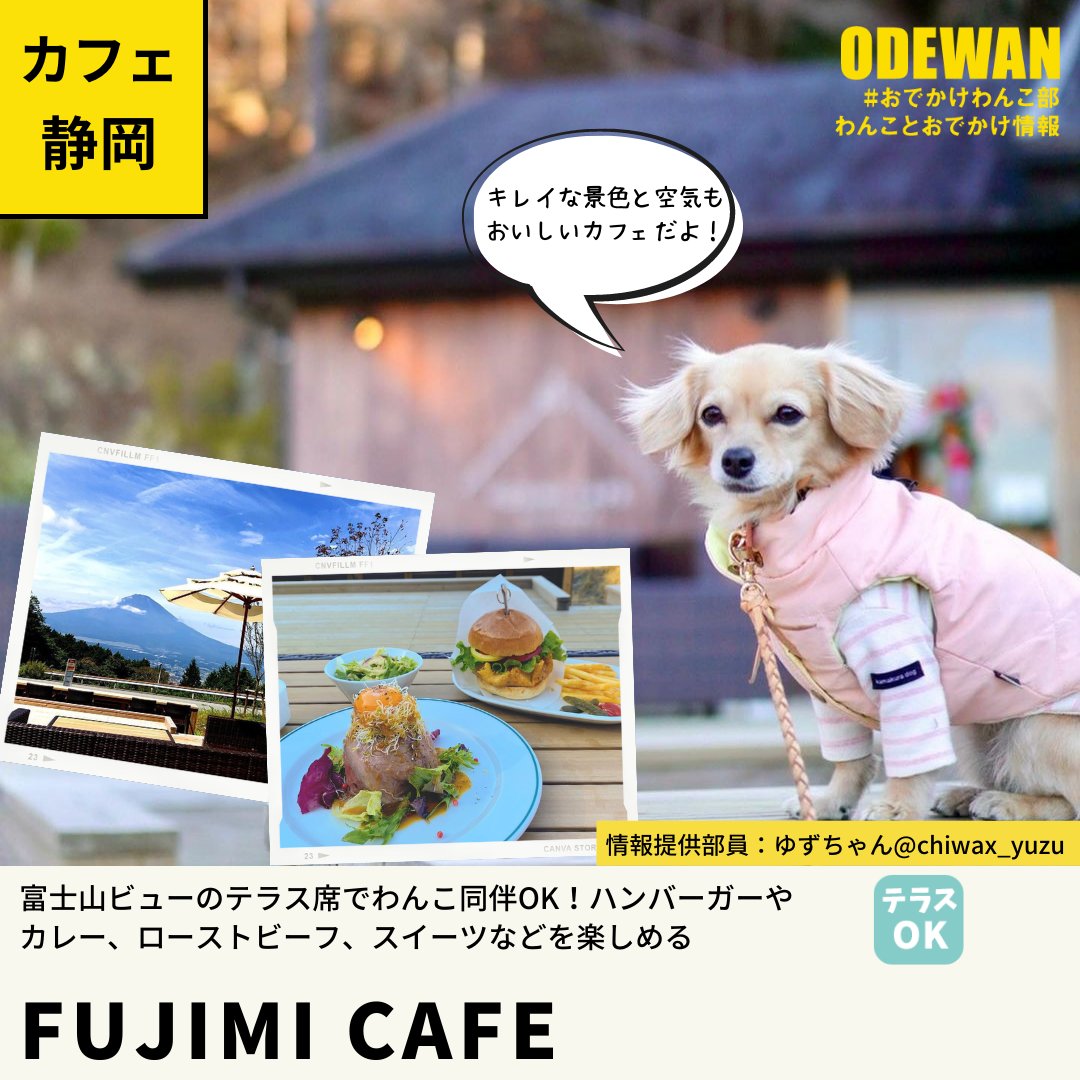 おでかけわんこ部 愛犬とのおでかけ情報 Odewanbu Twitter