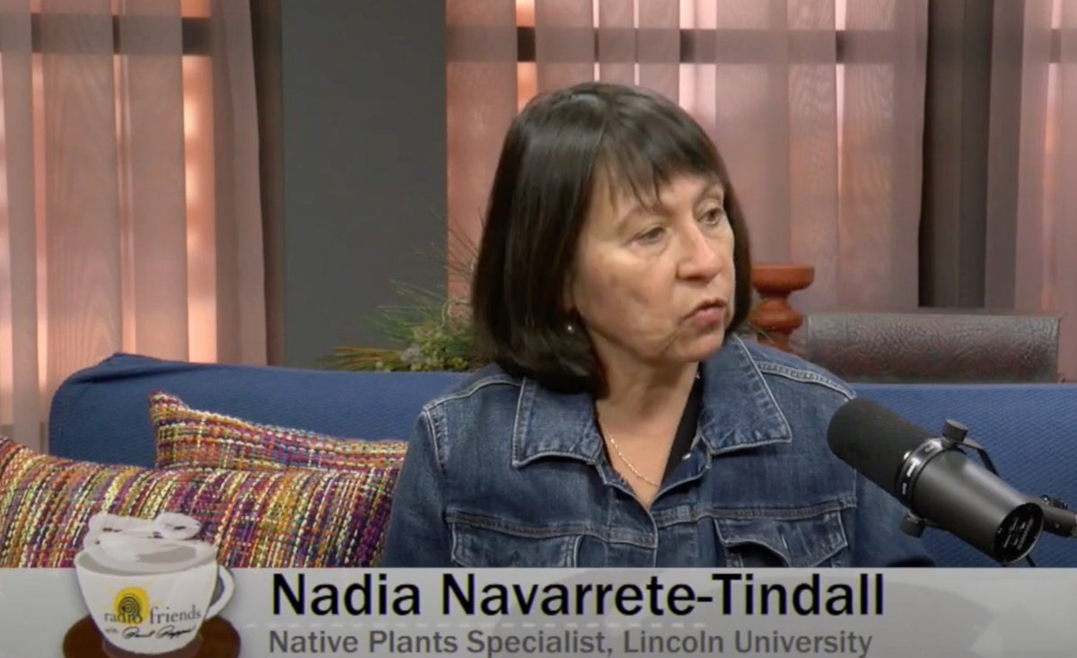LU_CollegeofAg's tweet photo. Dr. #NadiaNavarreteTindall Interview on January 18 with #PaulPepper about oak #acorns as specialty crops for human consumption - https://t.co/QZt0pJgkwi - #LUMO #NativePlants #CAHES https://t.co/45StcbE7pf
