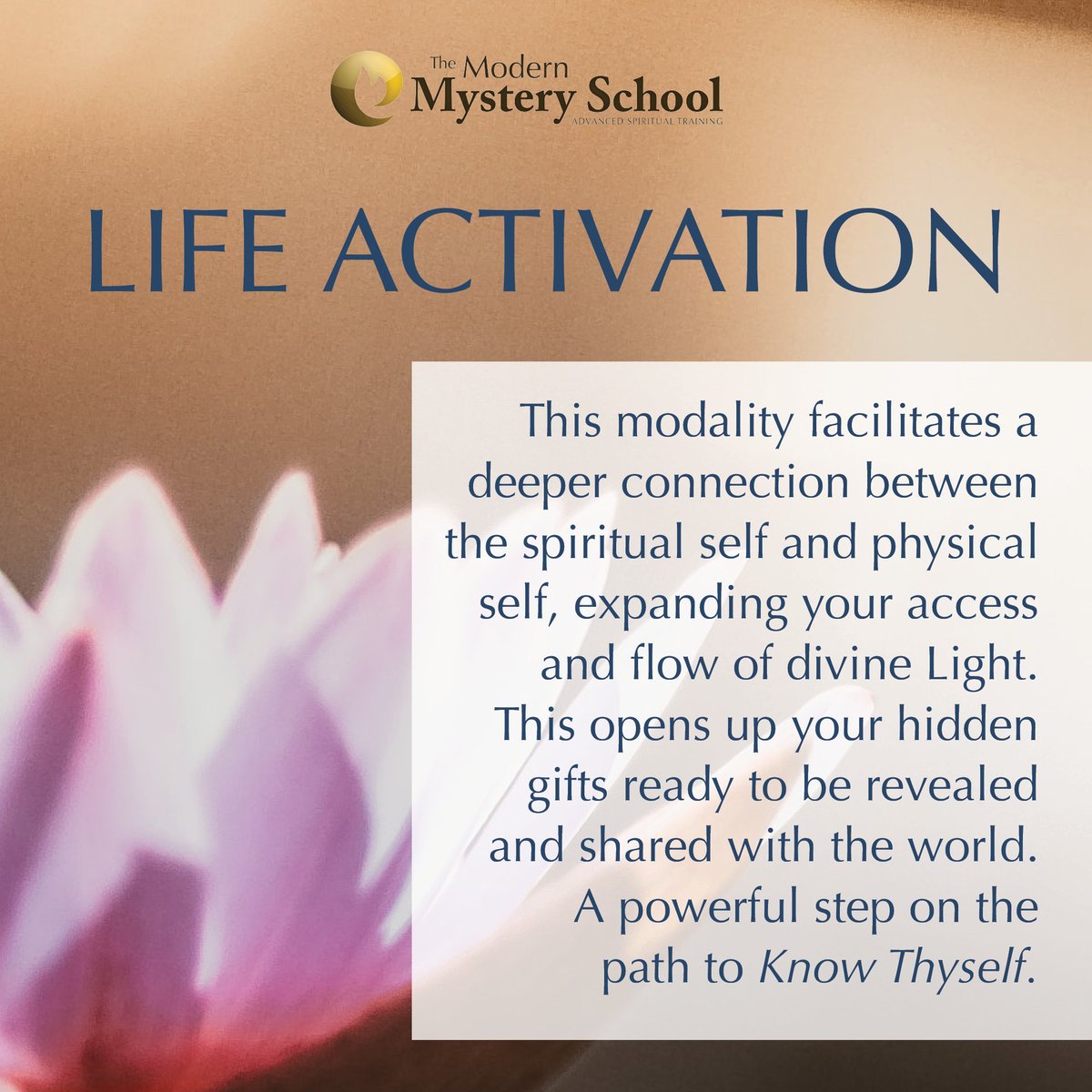officialmmsint's tweet photo. The Life Activation is usually one of the first things someone will experience on their spiritual journey with the MMS. To find a Life Activation Practitioner in your area, visit our list of Certified Professionals https://t.co/rssinAljIF
#modernmysteryschool  #spirituality https://t.co/EDiR1ABzwJ