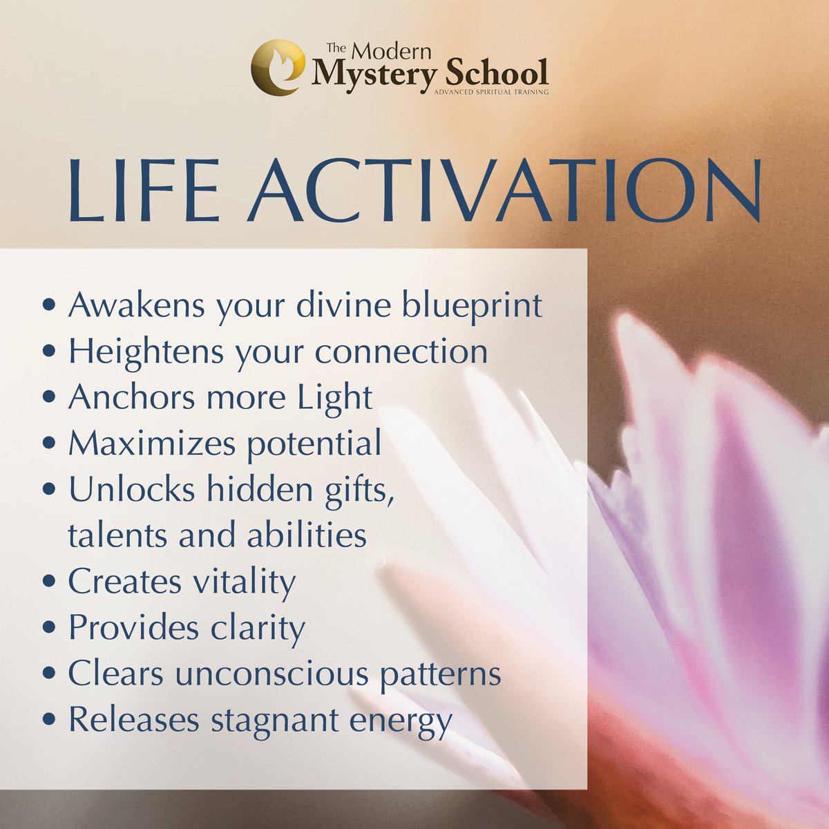 officialmmsint's tweet photo. The Life Activation is usually one of the first things someone will experience on their spiritual journey with the MMS. To find a Life Activation Practitioner in your area, visit our list of Certified Professionals https://t.co/rssinAljIF
#modernmysteryschool  #spirituality https://t.co/EDiR1ABzwJ