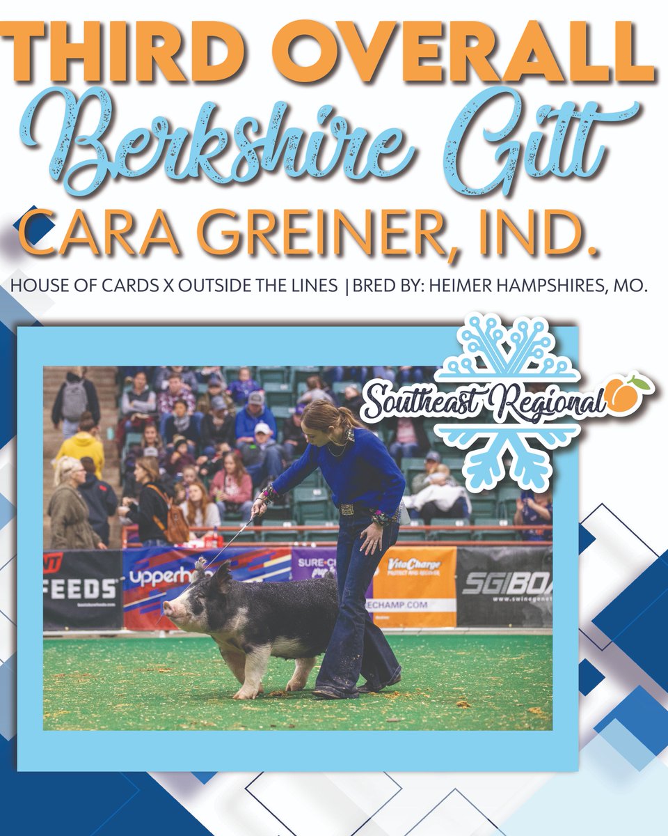 NationalSwine's tweet photo. Cara Greiner, Indiana, was named Third Overall Berkshire Gilt at #SoutheastRegional2022. 

Tegan Walker, Indiana, was named Fourth Overall Berkshire Gilt. 

Hudson Miller, Ohio, was named Fifth Overall Berkshire Gilt. 

https://t.co/NfaRZzkbzX 

 https://t.co/MNA8cyAn6a https://t.co/HBiZhw8nQF