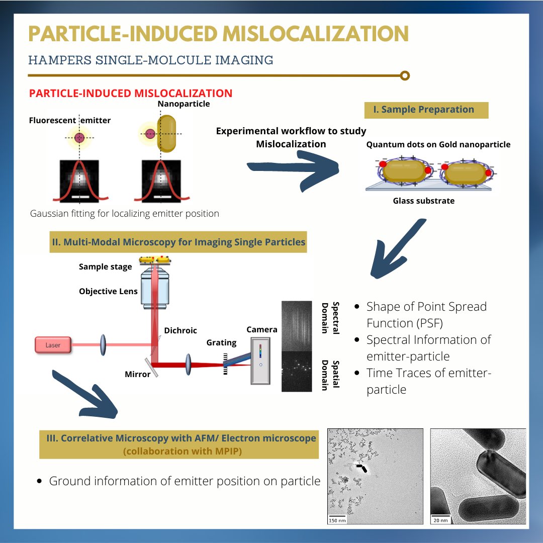 Sarojini <a href="/TUeindhoven/">TU Eindhoven</a> works on experimentally investigating particle-induced mislocalizations using correlative super-resolution microscopy. To help gain a true picture of the nanoparticle and its molecular interface which can be further used as biosensor or drug deliverer.