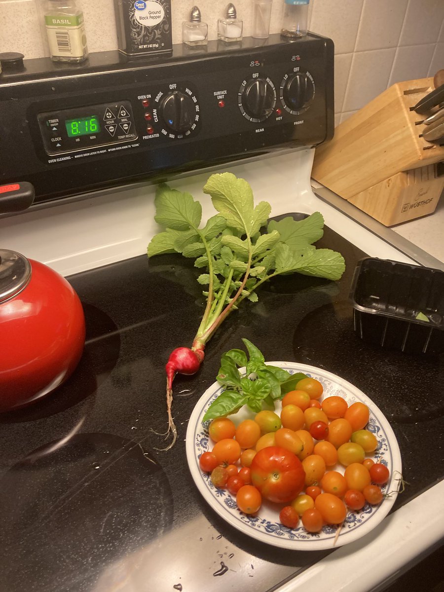 #gardening
