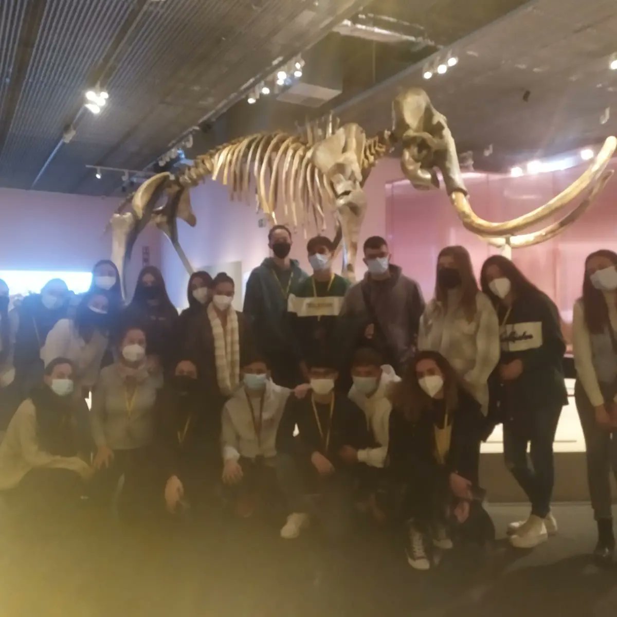 iesmariagaliana's tweet photo. Hoy alumnado de #2bachillerato de #ciencias_salud del @iesmariagaliana  han estado visitando y aprendiendo en @CaixaForum de #Sevilla. https://t.co/tSWZoqBvaE