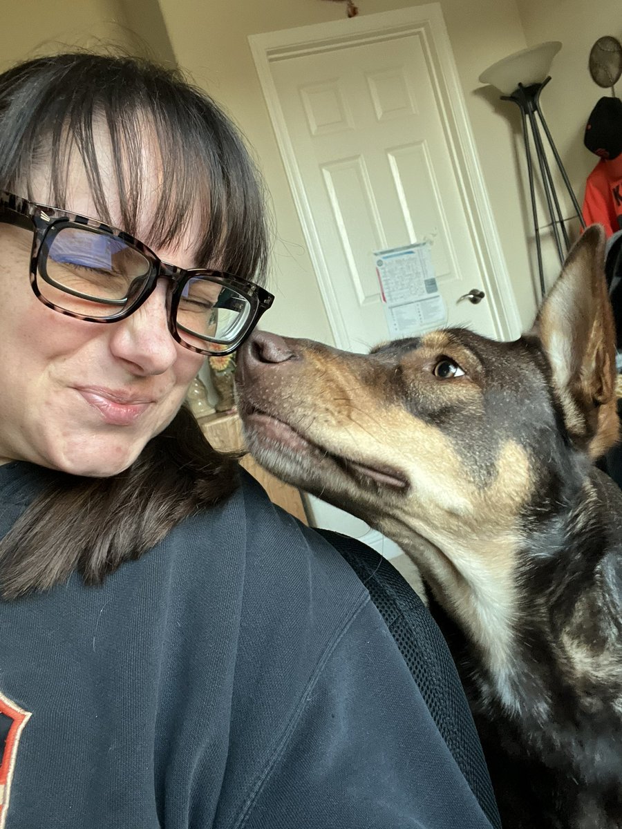 SFGiantsChica's tweet photo. Happy first #Adoptiversary to this 80 lb goober, #ZeusFitzgerald https://t.co/HYZw0GkLc2