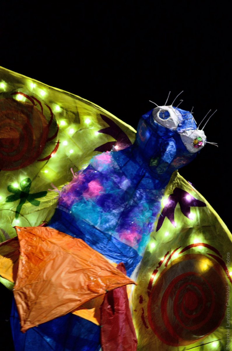 Sharrow Lanterns tweet media