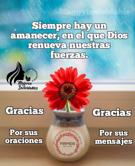 Gracias muchas gracias que Dios les bendiga y proteja en todo momento junto a su familia 🙏 abrazos de 💖🌻🌷🌹🤗☕☕👍🙋🏽‍♀️💯✨😊😘