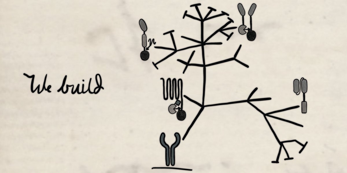 LeonardoMorsut's tweet photo. Synthetic receptors have come a long way! We’re very excited to share this comprehensive review of the origins, development, and state-of-the art of this field, co-written with @TheLeonardLab in @nchembio

https://t.co/u3AKMXxjdF https://t.co/42QB9aBnPj