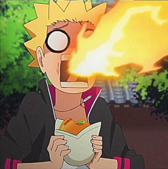 boruto's fire style