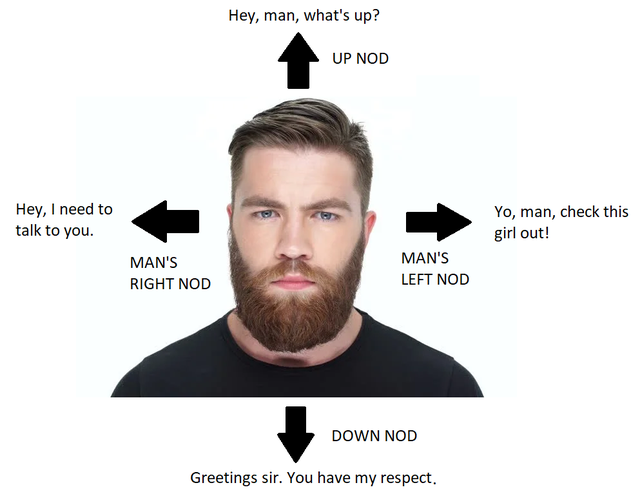 Men's Humor tweet media